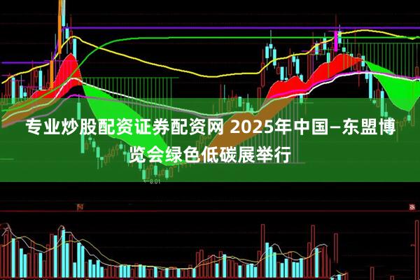 专业炒股配资证券配资网 2025年中国—东盟博览会绿色低碳展举行