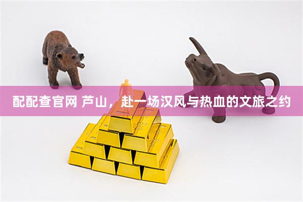 配配查官网 芦山，赴一场汉风与热血的文旅之约